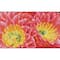 Diamond Dotz® Intermediate Desert Blooms Diamond Painting Kit